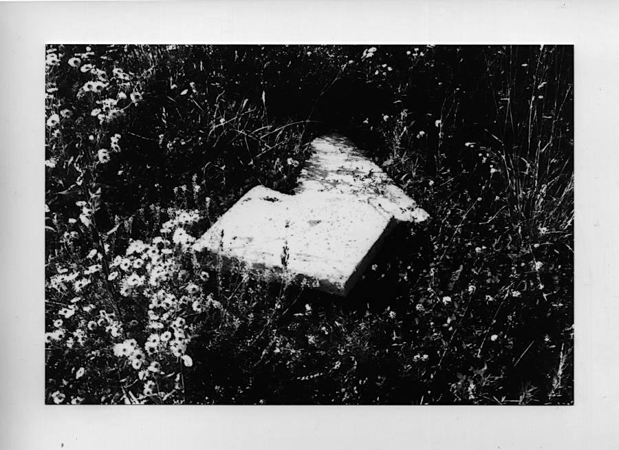 black and white photography of two foam pieces on grass besides the road