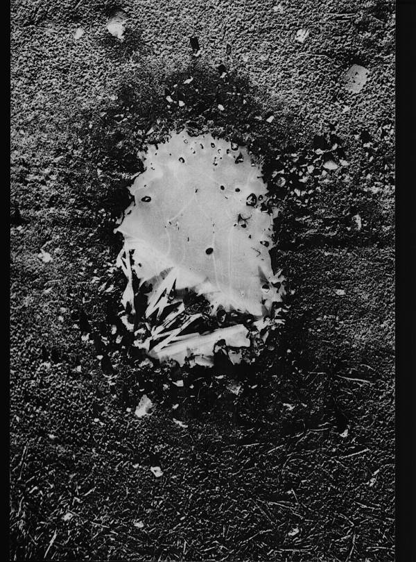 black and white photographic picture of a frozen puddle on the ground. It looks a bit like a face