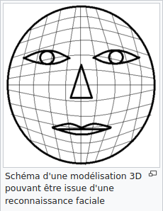 Schéma d'une modélisation 3D pouvant être issue d'une reconnaissance faciale