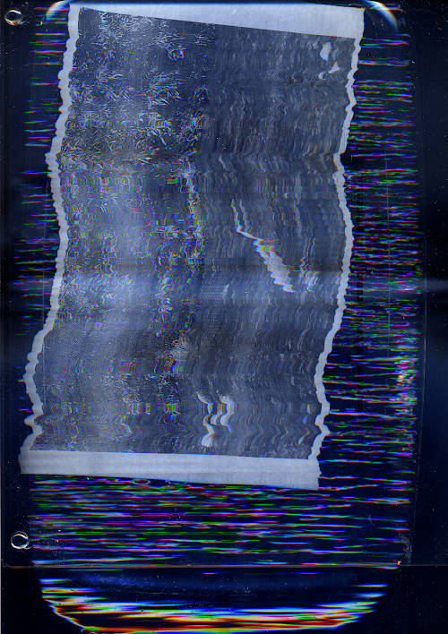 scan image. the same heron print but the water is touched and many glitch lines appear while scanning because of all the disturbances