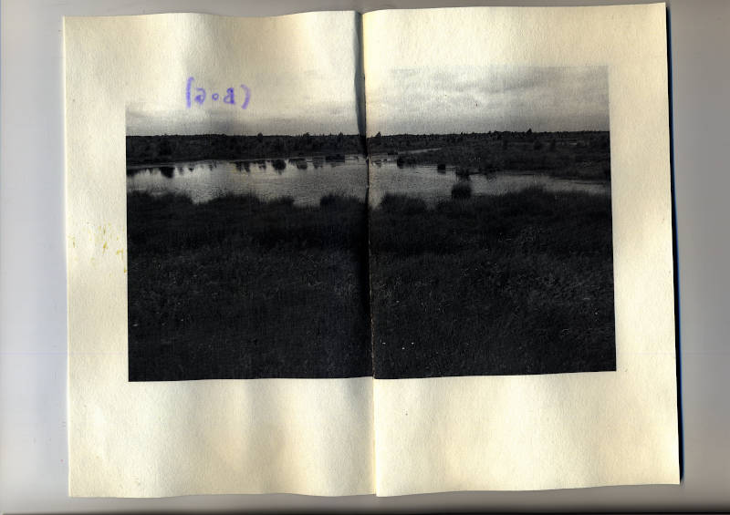 black and white photograph of a bog landscape, the handwritten text from the cover is shining through