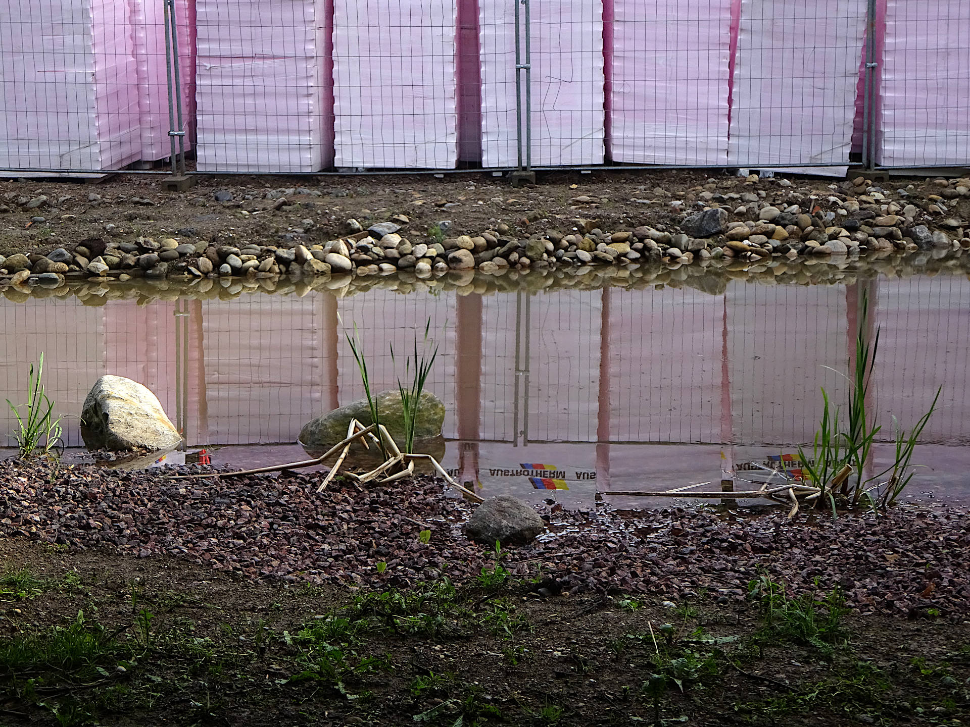an artificially newly created small pond. In the background are fenced pink foam towers.