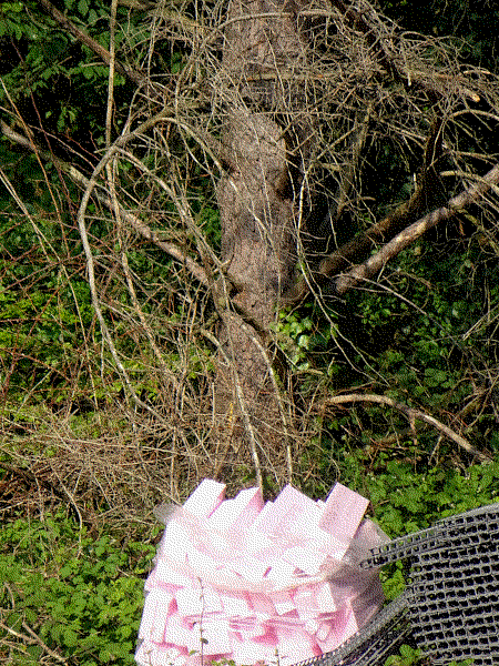 a pile of pink construction foam in front of a dead tree