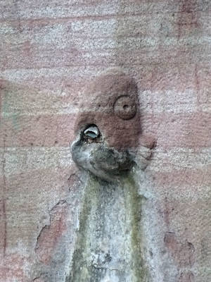 at a public fountain the head of a small fish is embedded in the stone at the water opening. Water is no longer running, but under the mouth you can see the traces of years of fizzing.