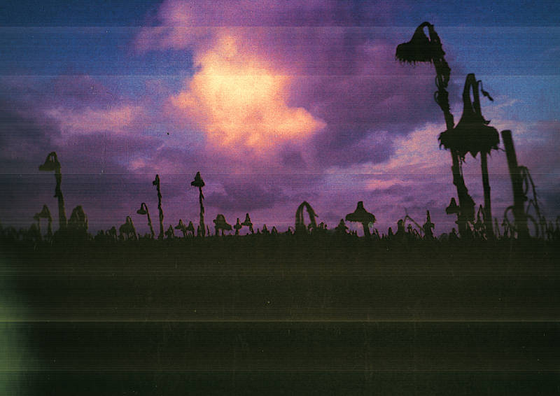 A field of sunflowers in winter with withered plants reaching up to the sky, which is illuminated by the sun through clouds. Photography with old analogue film, scan lines.