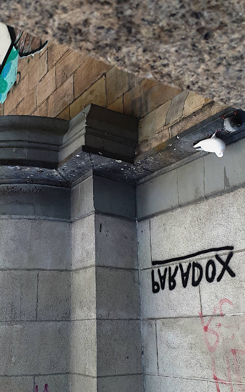 bridge ledge with two pigeons and other shit. The words Paradox are nicely neatly sprayed on the wall, but difficult to read, because the image was turned upside down and also mirrored.